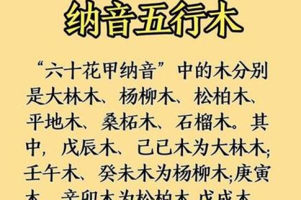 探索木命人的最佳搭配与生活指南，让你人生更加喜乐满满