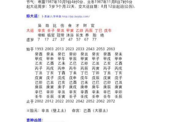 揭秘命理中的“从格”含义，揭开人格特质之谜！