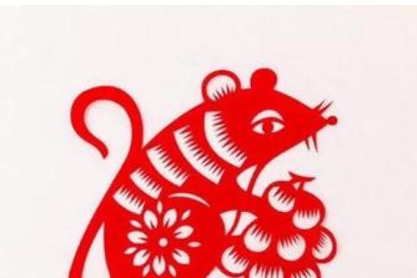 明年阴历六月十九，属鼠命运揭秘与智慧分享