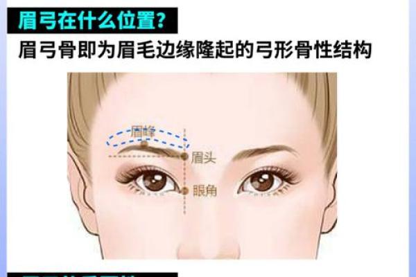 眉毛弯曲与命运的奇妙关系：探寻命理中的美学奥秘