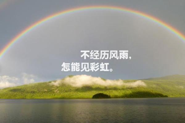 用爱拯救生命：母亲的坚韧与孩子的勇气