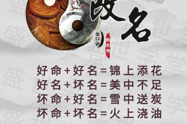 命理学中的凤命解析：追寻命运背后的美丽与智慧