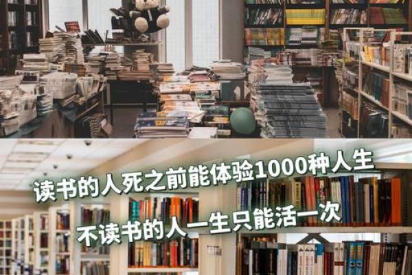 命的意义与救赎：探寻生命中的希望与力量