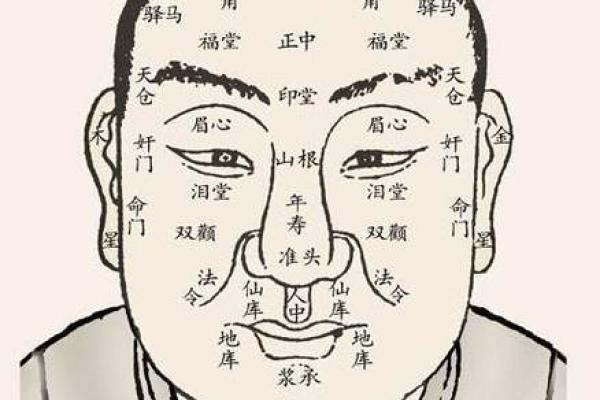 眉毛与五行的奇妙关联：解密面相与命运的密码