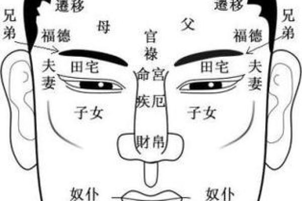 眉毛与五行的奇妙关联：解密面相与命运的密码