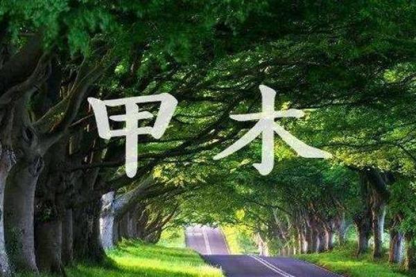 从辰时看木命人的楼层选择，打造最佳居住环境！