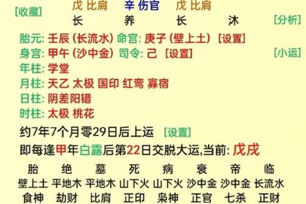 偏印在女命中的深刻象征与影响解析