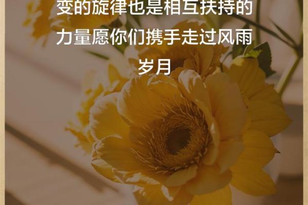 相依为命的两人，携手走过人生的风雨与阳光