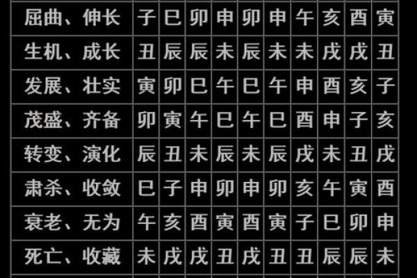 女人八字与官命：揭秘命理背后的职业之路