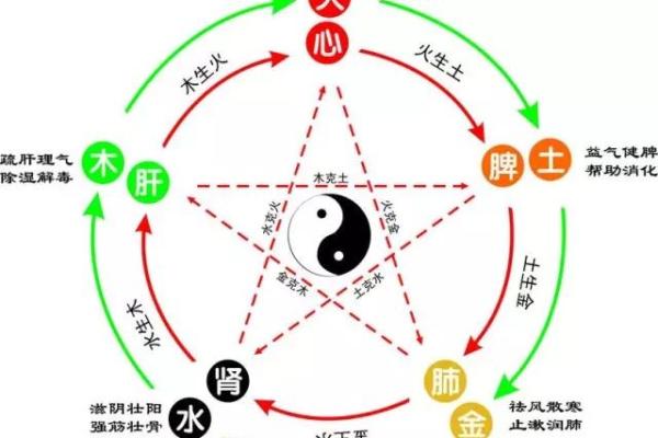 木命与火命的五行养生：如何选择合适的植物与动物？