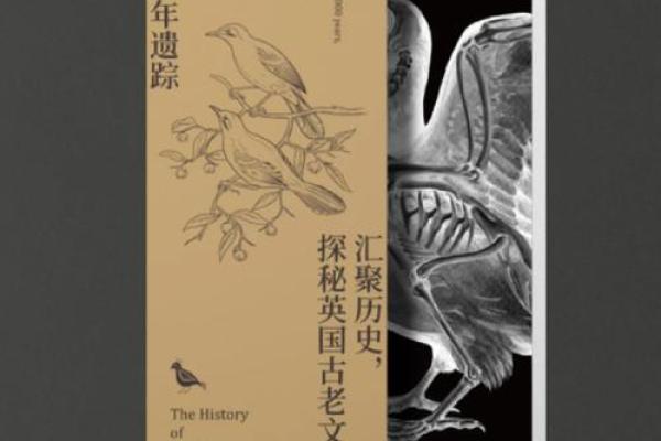 命格中的绦：探索命理深处的神秘意义与启示