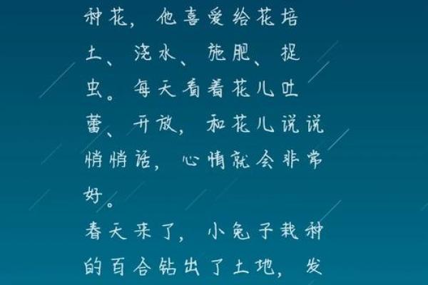 命里有两个兔：解读双兔之谜与人生启示