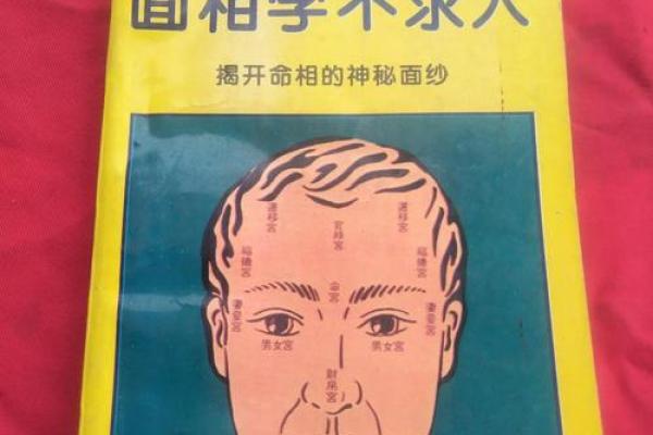 揭开女命4.1的神秘面纱：命理与人生的深邃解读