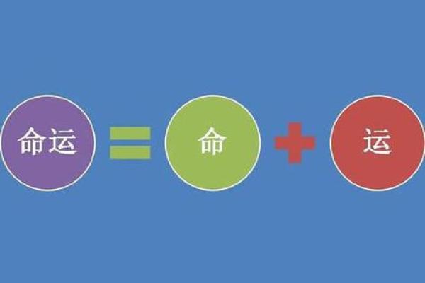 命冲命害解析：探寻命运背后的深意与智慧