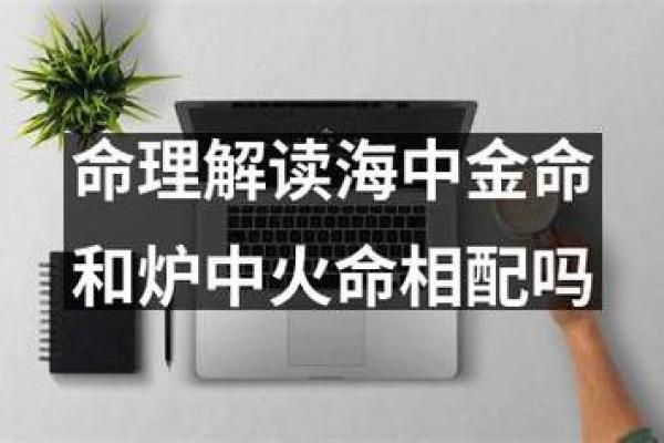 命里带元男：解读命理中的特殊男命特征与人生选择