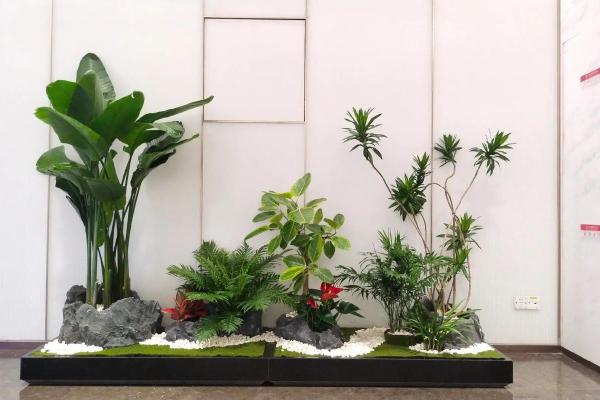 适合木命人的办公桌花卉选择与摆放指南