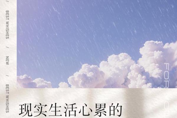 没钱时命不值钱，这句话的深刻内涵与现实的无奈