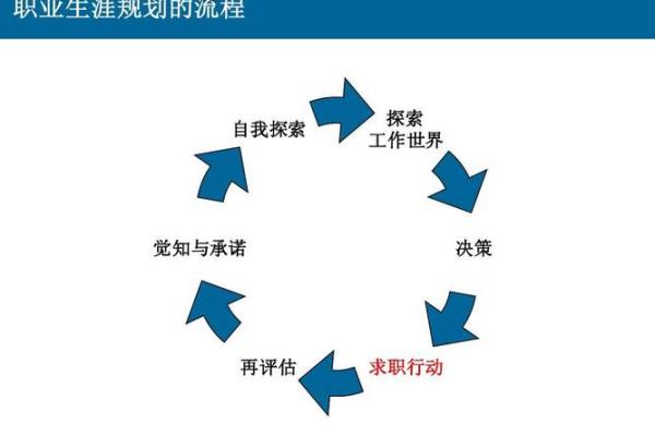 命盘中主星的意义：探索自我与命运的深层联系