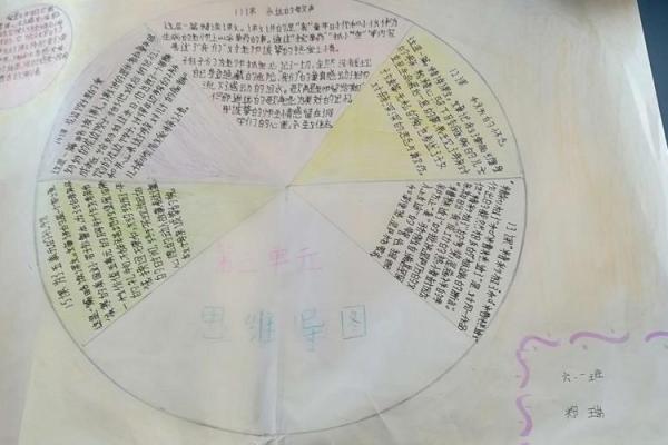 七岁命格揭秘：解读七岁属什么命的智慧与人生