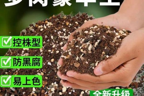 木命土命的最佳植物选择与养护指南