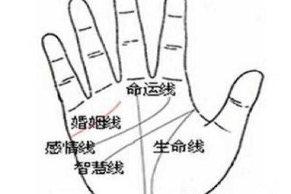 卯时出生的女性：命运与运势的深度解析