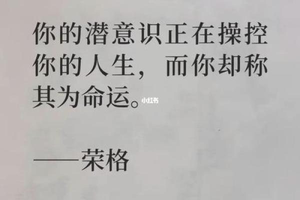 命里没有一滴水：探寻生活与命运的哲学