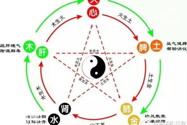 1994年出生的人命运解析：金木水火土五行相生相克的深刻影响