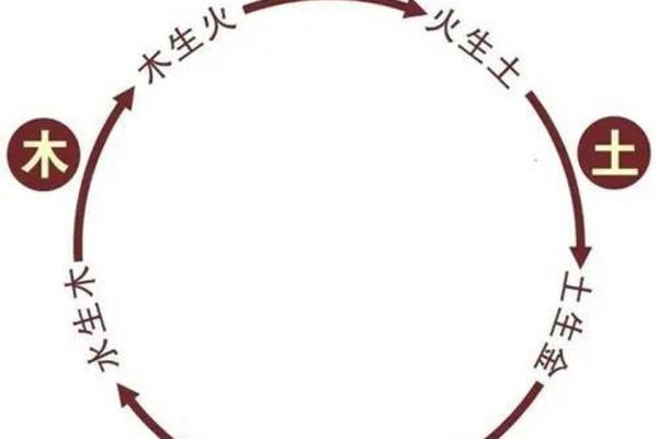 1994年出生的人命运解析：金木水火土五行相生相克的深刻影响