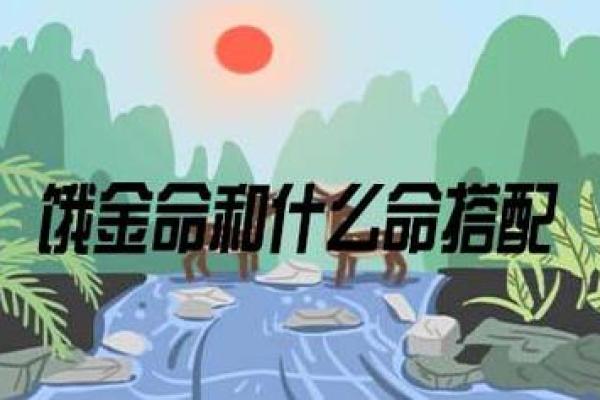 木命人适合找什么命的人，提升缘分与幸福的指南