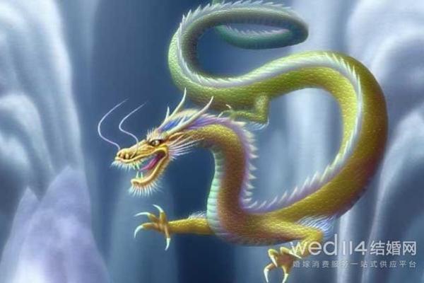 龙女大林木命的最佳搭配，谁与她最相宜？