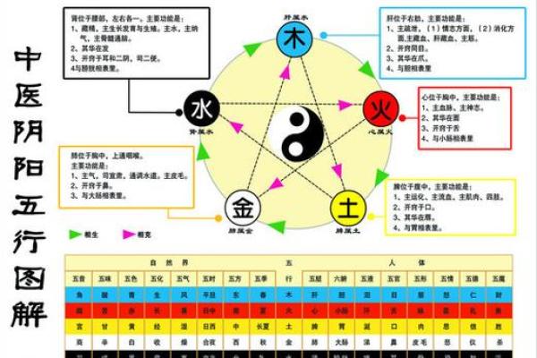 农历五月出生：解析五行命理与人生机遇的奇妙联系
