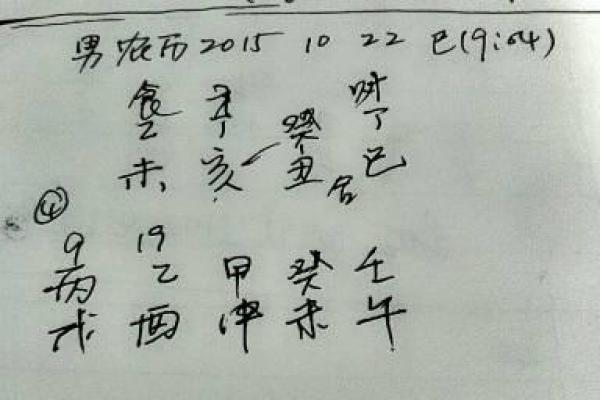 农历2011年属什么命？探寻兔年的命运与人生智慧