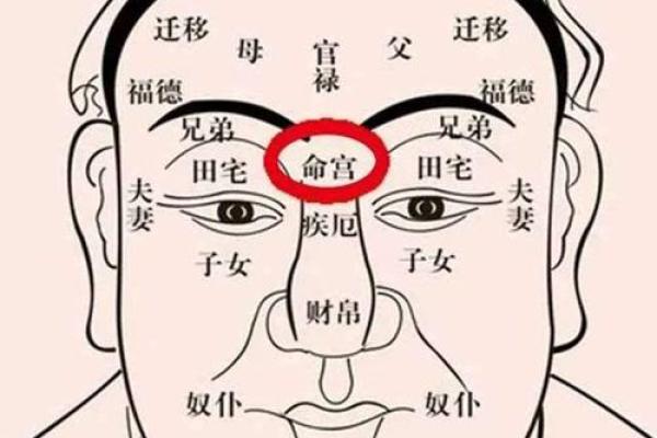 探秘路旁土命与他命的奇妙关系：命理中的归属与相生相克