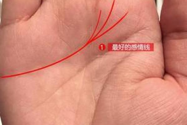你是什么命？探索富贵命的秘密与成就之路