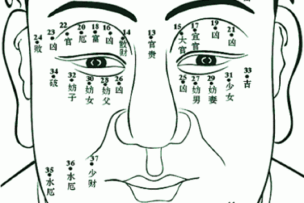 农历3月9号出生的人命格分析：揭开命运的神秘面纱