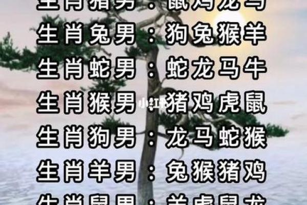 偏财格男命的最佳配对与命理解析