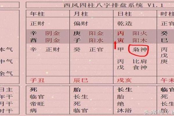 木命人木旺适合选择的专业与发展方向解析