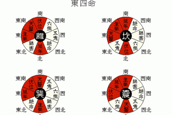 木命人适合的大门颜色及其风水解析