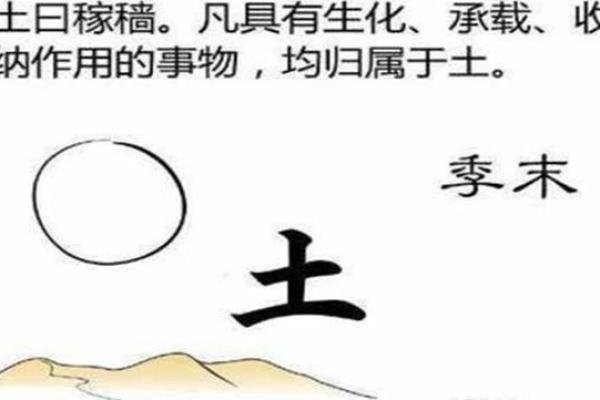 探秘八字中的夫妻宫：揭示命理背后的爱情密码