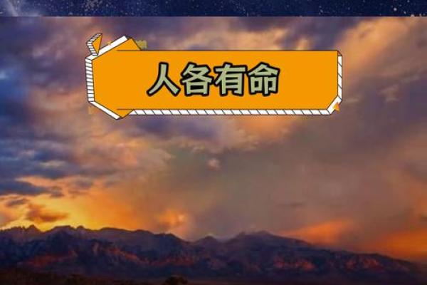 命运掌握在自己手中，反义词的深刻意义与启示