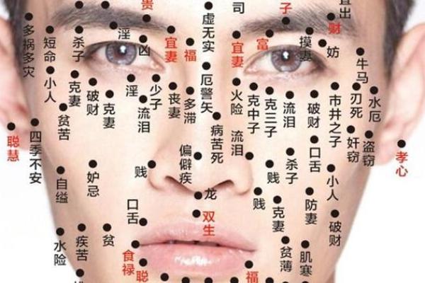 探索女命异性缘的奥秘：从命宫看你的爱情运势