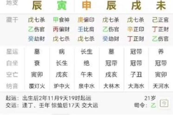 深入探讨高命之人在命理学中的独特特征与内涵