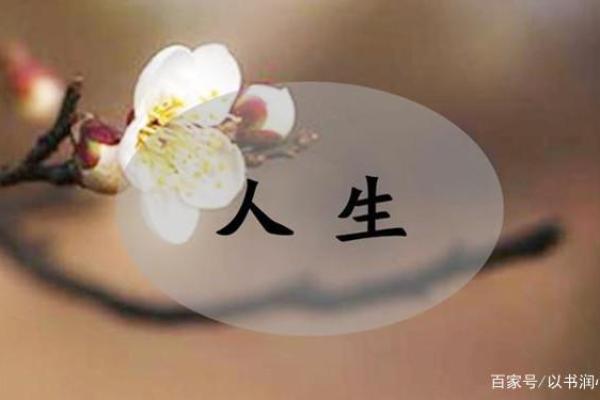 从容应对：没有比劫的女性命理解析与人生选择