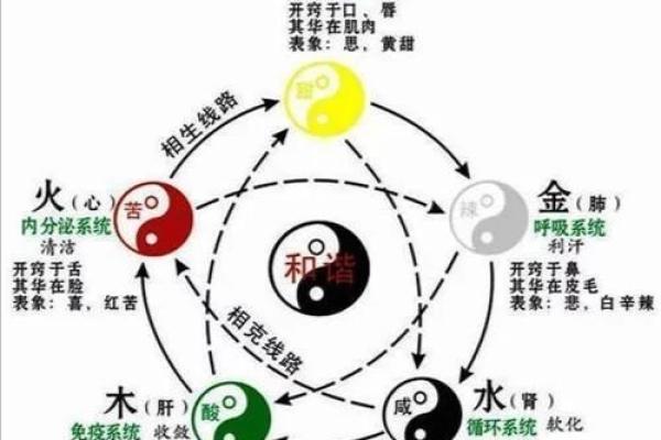 马骁凌晨五点出生命运解析：揭示五行之道与星辰影响