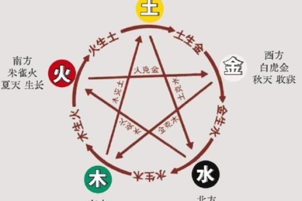 命理解析：如何根据五行缺失调整生活与运势？