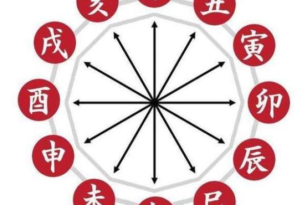 理命与气命：探讨生命的两种维度与影响力
