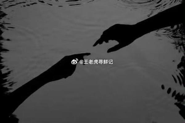 命运的转角：当我们以为一切都失去时的奇迹