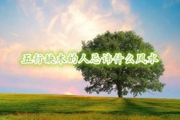 如何提升木命的运势？五大秘诀助你逆袭人生！