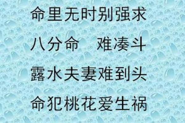 满命与两命的深刻解读：人生与命运的交织之路