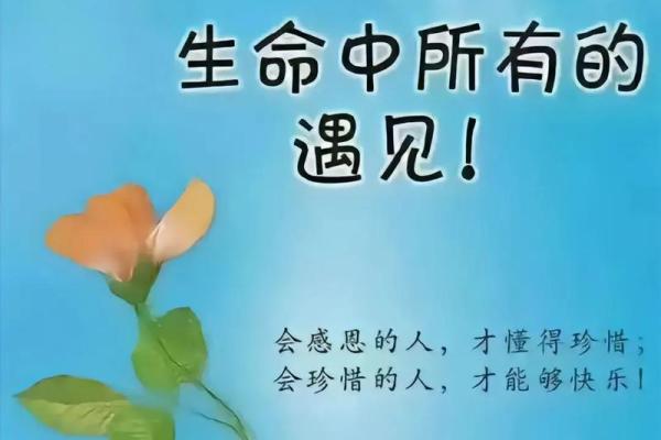 生命的可贵：无人胜过其重要性与价值